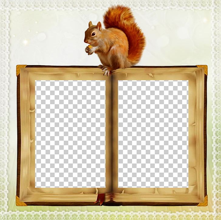Squirrel Frames PNG, Clipart, Animals, Book, Cat, Computer Icons, Download Free PNG Download