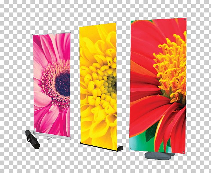 Web Banner Advertising Pop-up Ad Printing PNG, Clipart, Advertising, Banner, Chrysanths, Cut Flowers, Display Advertising Free PNG Download