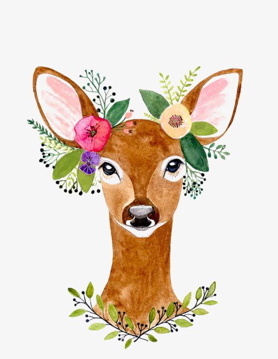 Flowers And Deer PNG, Clipart, Deer, Deer Clipart, Fawn, Flowers, Flowers Clipart Free PNG Download