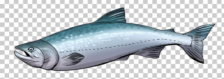 Salmon Sashimi Free Content PNG, Clipart, Animation, Bony Fish, Chinook Salmon, Cute Salmon Cliparts, Download Free PNG Download