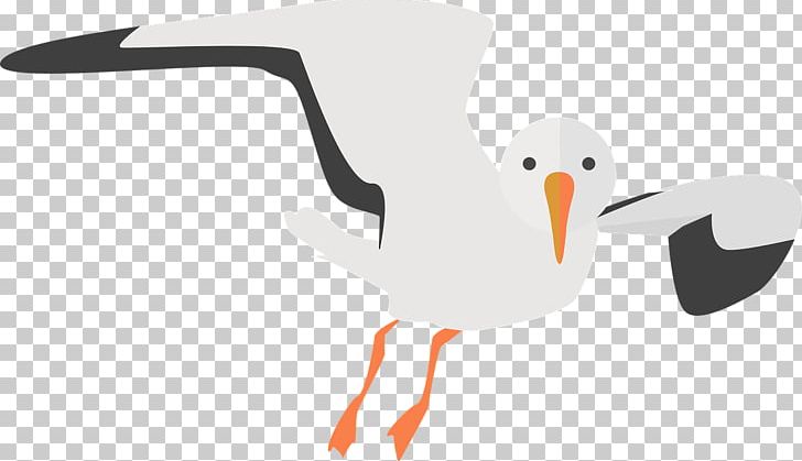 Gulls European Herring Gull Bird Portable Network Graphics PNG, Clipart, American Herring Gull, Beak, Bird, Cartoon, Charadriiformes Free PNG Download
