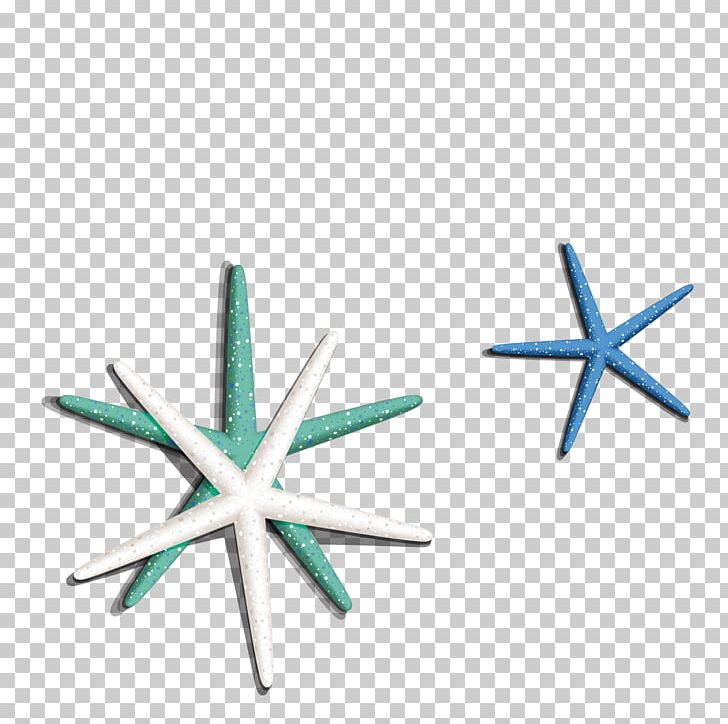 Starfish Seashell Euclidean PNG, Clipart, Adobe Illustrator, Angle, Animals, Aqua, Blue Free PNG Download