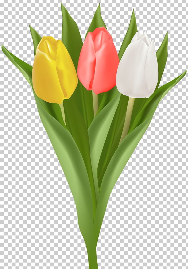 Tulip Flower Bouquet Cut Flowers Petal PNG, Clipart, Cut Flowers, Flower, Flower Bouquet, Flowering Plant, Flowers Free PNG Download