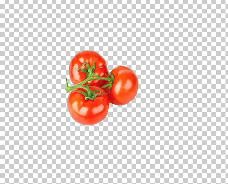 Vegetable Fruit Tomato Organic Food PNG, Clipart, Cherry Tomato, Condiment, Food, Fruit, Fruit Exotique Free PNG Download