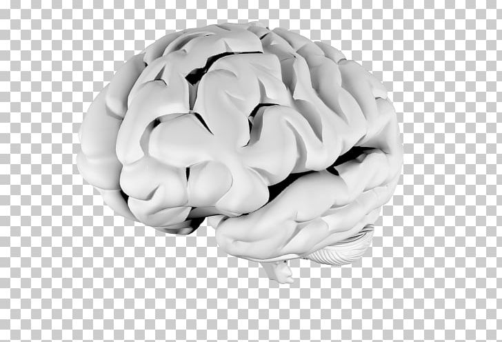 Brain PNG, Clipart, Agenesis Of The Corpus Callosum, Brain, Hand, Organ, People Free PNG Download