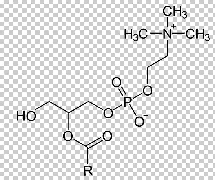 Lysophosphatidylcholine Glyceride Phosphocholine Phosphatidylserine Glycerol PNG, Clipart, Angle, Area, Auto Part, Black And White, Choline Free PNG Download