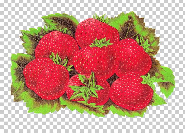 Strawberry Label Shortcake Accessory Fruit Food PNG, Clipart, Accessory Fruit, Berry, Food, Fruit, Fruit Nut Free PNG Download
