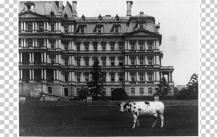 White House Cattle Executive Office Building Dog Pauline Wayne PNG, Clipart, Barack Obama, Bill Clinton, Black And White, Building, Cattle Free PNG Download