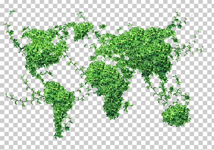 World Map PNG, Clipart, Branch, Grass, Herbalism, Istock, Ivy Free PNG Download