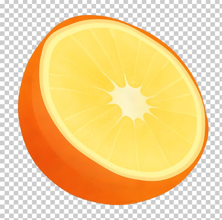 Juice Grapefruit Lemon Orange PNG, Clipart, Auglis, Circle, Citric Acid, Citrus, Computer Icons Free PNG Download