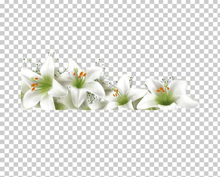 Lilium Flower PNG, Clipart, Artificial Flower, Blossom, Calla Lily, Computer Software, Cut Flowers Free PNG Download