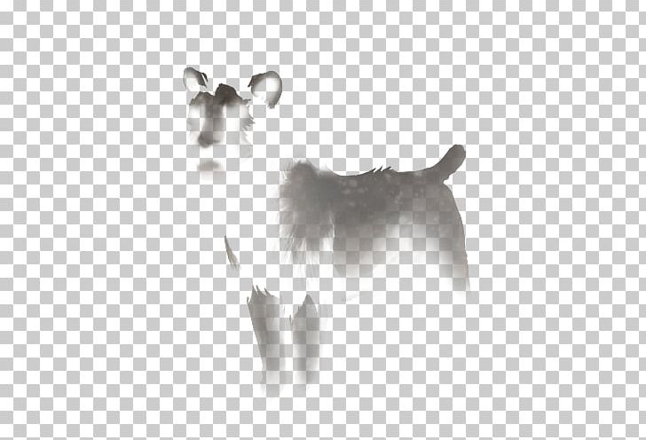 Cat Dog Whiskers Carnivora Mammal PNG, Clipart, Animal, Animals, Black And White, Breed, Canidae Free PNG Download