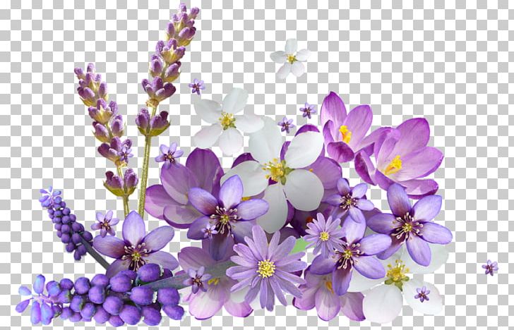 Flower Internet Explorer PNG, Clipart, Blossom, Branch, Cicek, Colchicum Autumnale, Dots Per Inch Free PNG Download