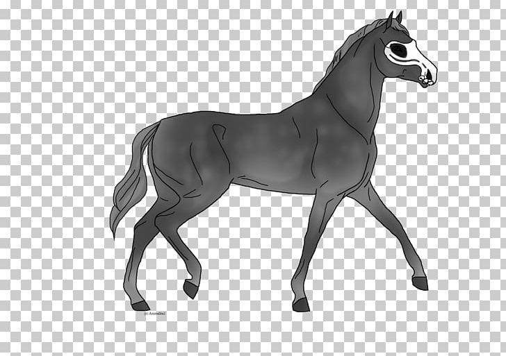 Mane Mustang Foal Stallion Colt PNG, Clipart, Animal Figure, Bit, Black And White, Bridle, Colt Free PNG Download