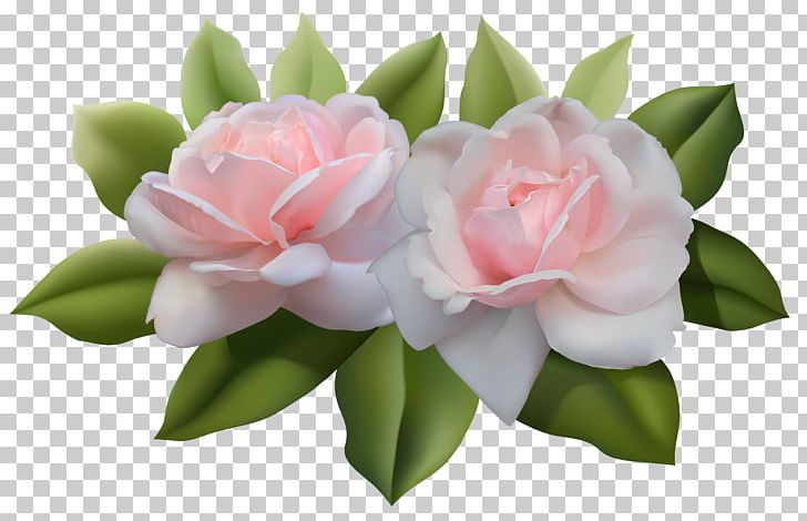 Rose Desktop PNG, Clipart, Artificial Flower, Camellia, Cardmaking, Cut Flowers, Desktop Wallpaper Free PNG Download