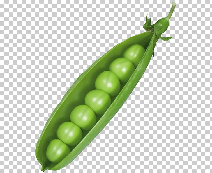 Snow Pea Vegetable Pod PNG, Clipart, Background Green, Blue, Broad Bean, Commodity, Food Free PNG Download