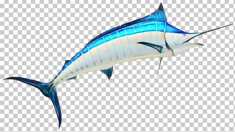 Swordfish Marlin Yellowfin Tuna Albacore Bigeye Tuna PNG, Clipart, Albacore, Atlantic Bluefin Tuna, Bigeye Tuna, Billfish, Fish Free PNG Download