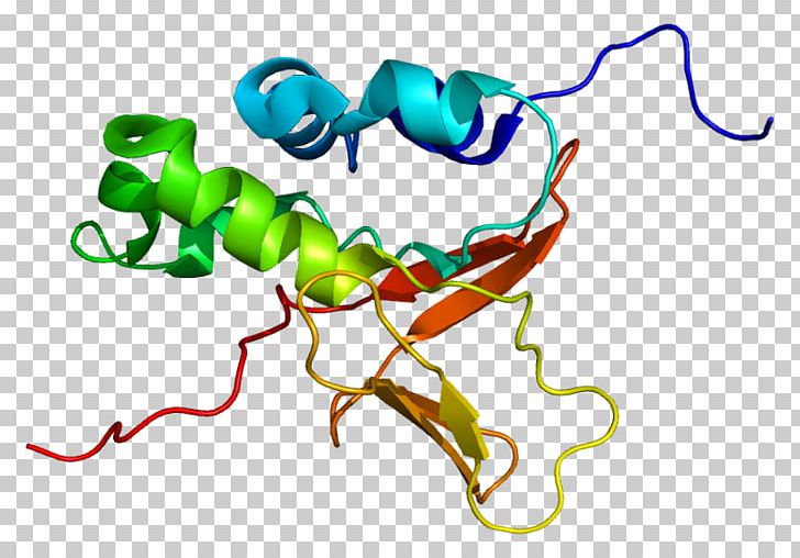 TGFBI Lattice Corneal Dystrophy Transforming Growth Factor Beta Protein PNG, Clipart, 3 B, Artwork, Biology, Cornea, Gene Free PNG Download