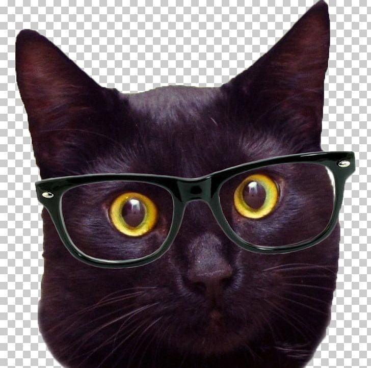 Black Cat Desktop Hipster Mobile Phones PNG, Clipart, Animals, Asian, Bombay, Burmese, Carnivoran Free PNG Download