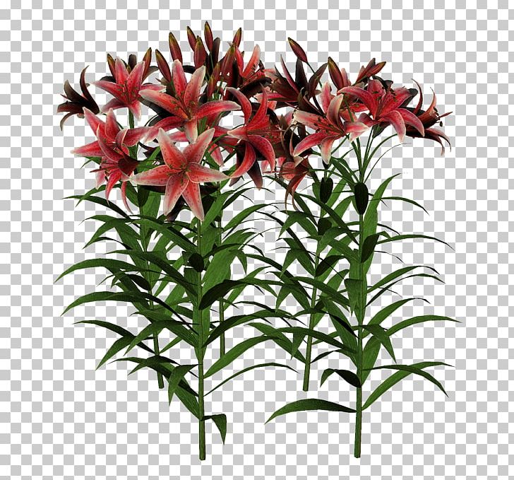 Cut Flowers Plant Stem Flowerpot Summer PNG, Clipart, Advertising, Ansichtkaart, Cut Flowers, Flower, Flowering Plant Free PNG Download