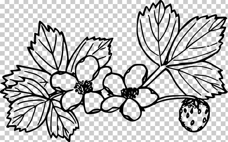 Wild Strawberry Coloring Book Virginia Strawberry PNG, Clipart, Branch, Brush Footed Butterfly, Child, Color, Flower Free PNG Download