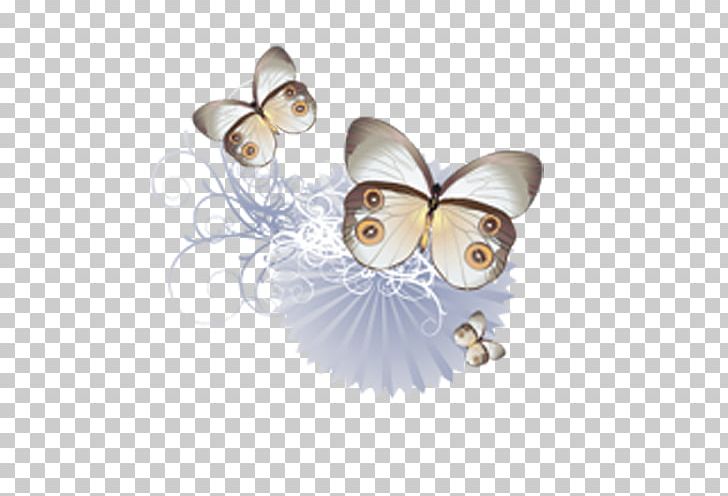 Butterfly Euclidean Ornament PNG, Clipart, Art, Blue Butterfly, Butt, Butterflies, Butterflies And Moths Free PNG Download