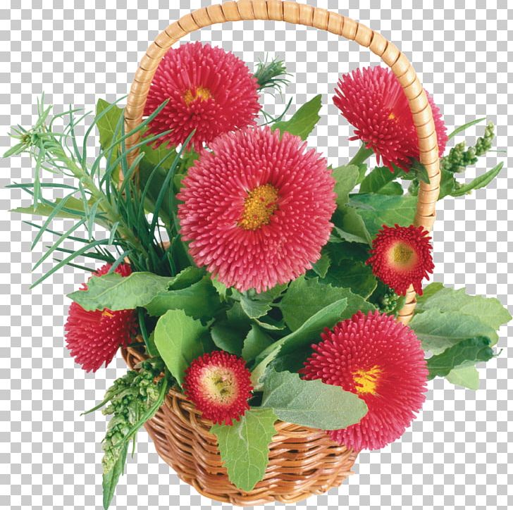 Desktop Birthday Flower Chrysanthemum PNG, Clipart, 1080p, Aster, Birthday, Chrysanthemum, Collage Free PNG Download