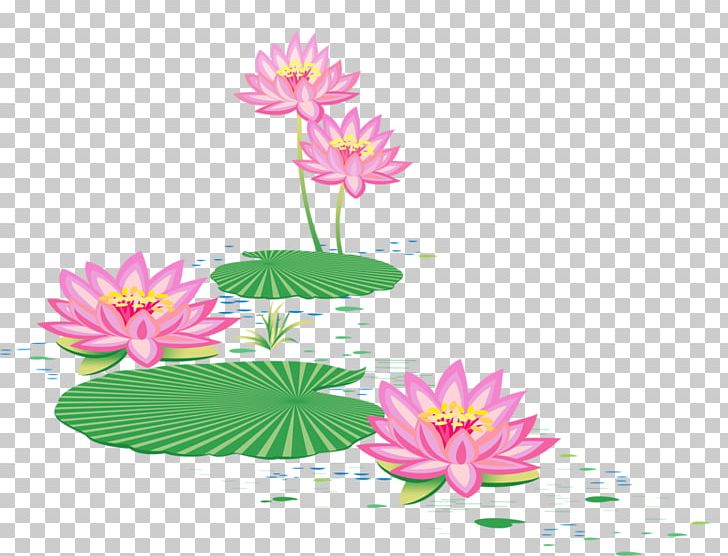Floral Design บัว Sacred Lotus Graphics PNG, Clipart, Aquatic Plant, Art, Cartoon, Cut Flowers, Download Free PNG Download