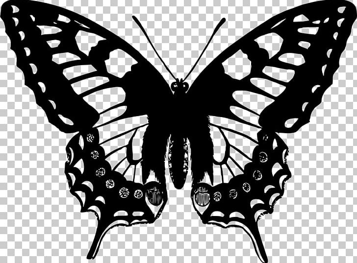 Swallowtail Butterfly Papilio Machaon Papilio Ulysses PNG, Clipart, Arthropod, Barn Swallow, Black And White, Brush Footed Butterfly, Butterfly Free PNG Download