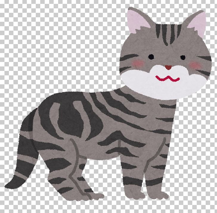 Whiskers American Shorthair Tabby Cat Domestic Short-haired Cat Norwegian Forest Cat PNG, Clipart, American, Animal, Animal Figure, Breed, Carnivoran Free PNG Download