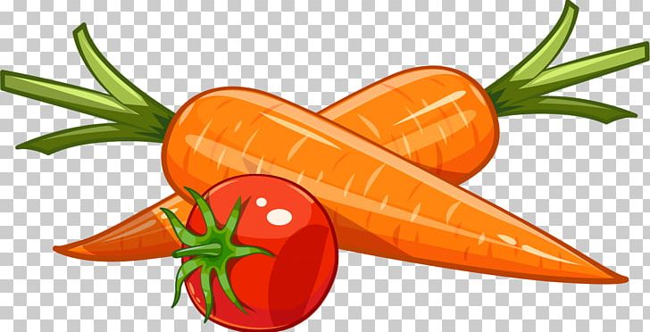 Carrot Drawing Illustration PNG, Clipart, Arracacia Xanthorrhiza, Carrots Vector, Cartoon, Die, Food Free PNG Download