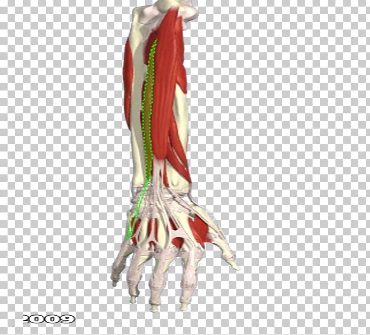 Human Leg Knee Shoulder Muscle Silk PNG, Clipart, Arm, Forearm, Hand, Human Leg, Joint Free PNG Download