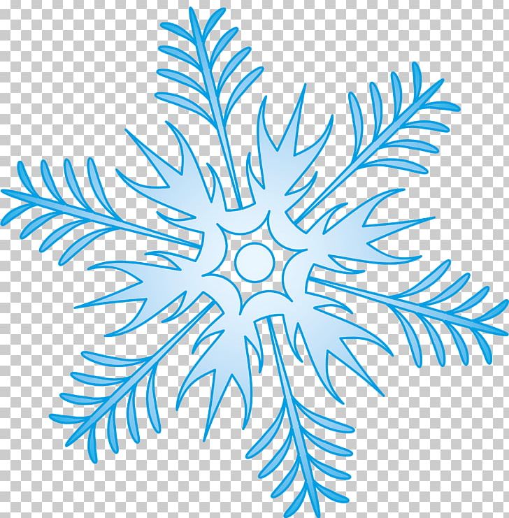 Khabarovsk Snowflake Shape PNG, Clipart, Black And White, Branch, Circle, Computer Icons, Encapsulated Postscript Free PNG Download