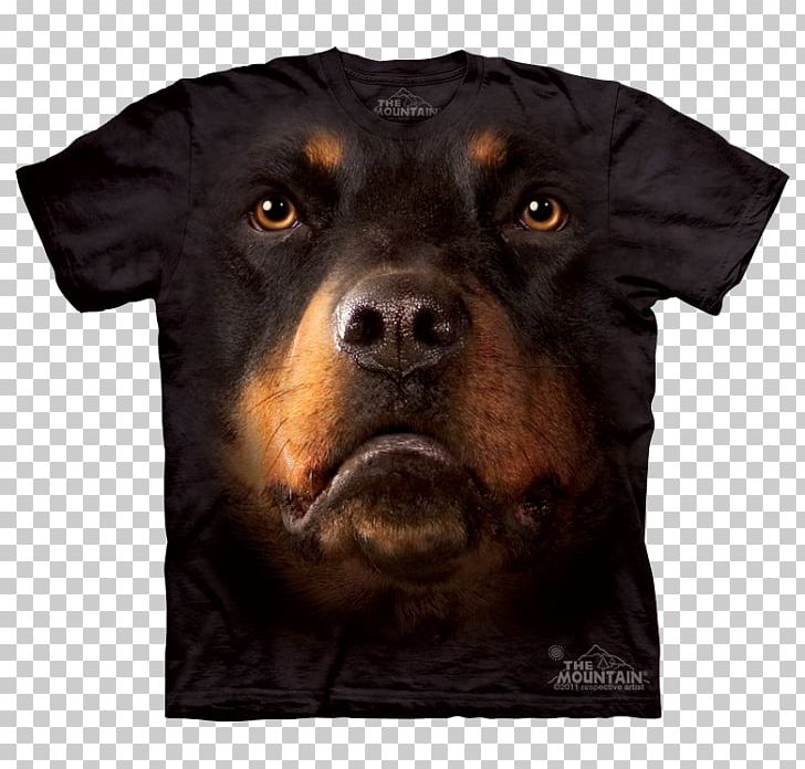Rottweiler T-shirt Bernese Mountain Dog Divine Dogs Online PNG, Clipart, Animal, Bernese Mountain Dog, Breed, Carnivoran, Clothing Free PNG Download