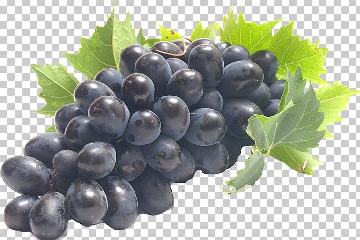 Common Grape Vine Wine Juice Fruit PNG, Clipart, Amazon Grape, Berry, Bilberry, Blackberry, Blueberry Free PNG Download