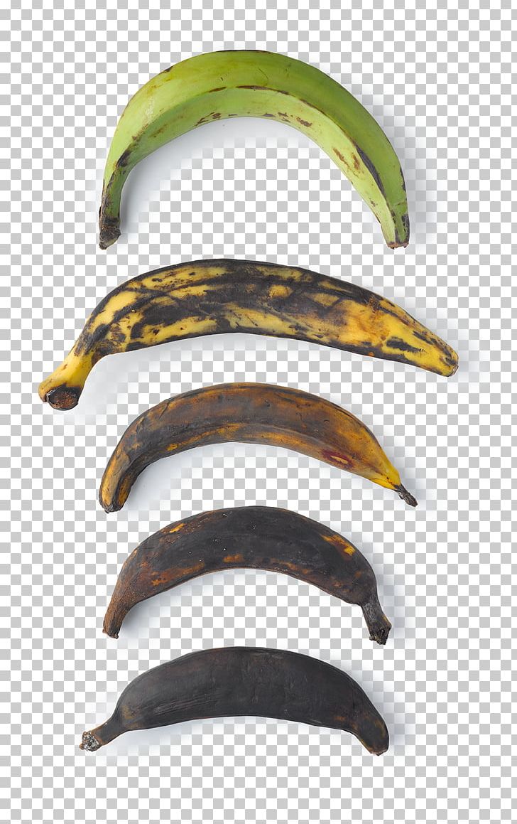 Fried Plantain Cooking Banana Keyword PNG, Clipart, Banana, Claw, Cooking, Cooking Banana, Dish Free PNG Download