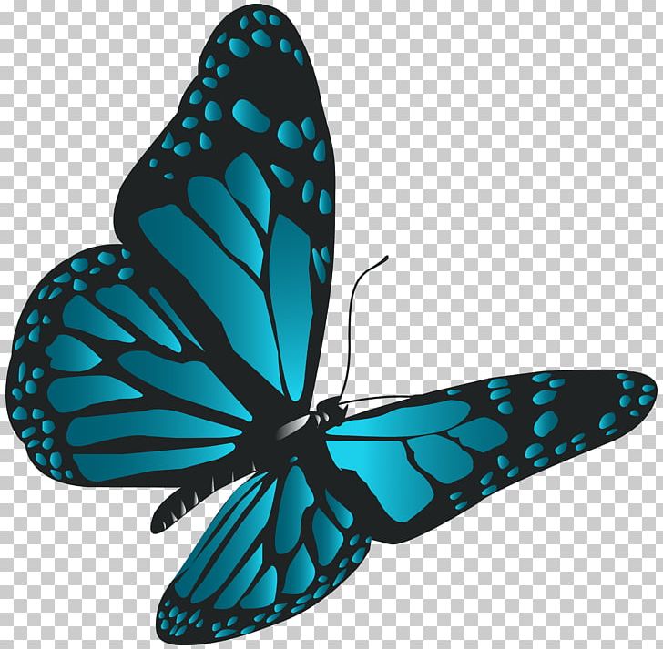 Monarch Butterfly PNG, Clipart, Appias Nero, Blue, Blue Butterfly, Brush Footed Butterfly, Butterflies Free PNG Download