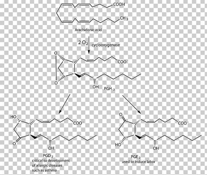 Prostaglandin Fatty Acid Saturated Fat Palmitoleic Acid PNG, Clipart, Acid, Angle, Arachidonic Acid, Area, Black And White Free PNG Download