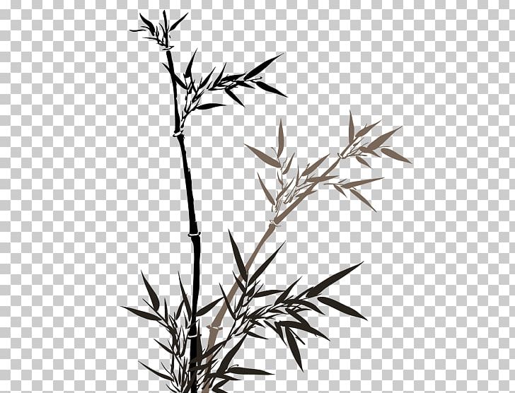 Bamboo PNG, Clipart, Black And White, Branch, Chinese Border, Chinese Dragon, Chinese Lantern Free PNG Download