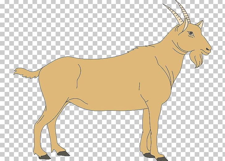 Goat Cattle Human Digestive System Paratuberculosis Sheep PNG, Clipart, Animals, Antelope, Cattle, Cow Goat Family, Deer Free PNG Download