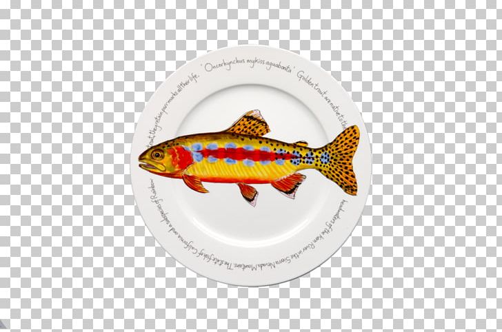Kern River Golden Trout Rainbow Trout Plate PNG, Clipart, Bowl, Brook Trout, Coffee Cup, Cup, Dishware Free PNG Download