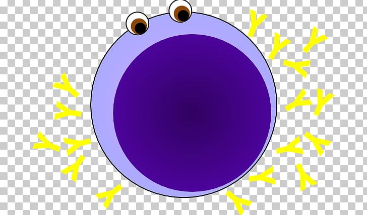 Lymphocyte B Cell T Cell Nucleolus PNG, Clipart, Antibody, B Cell, Cartoon, Cell, Cell Nucleolus Free PNG Download