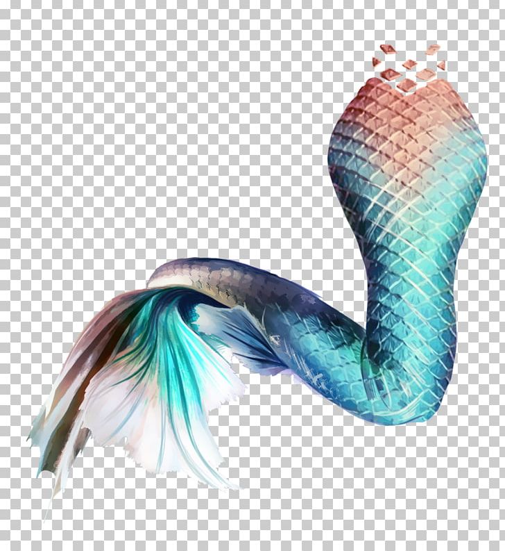 Mermaid Tail Siren Mug PNG, Clipart, Drawing, Fantasy, Feather, Mermaid, Mug Free PNG Download