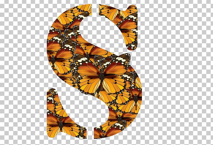 Monarch Butterfly Pieridae Brush-footed Butterflies Symmetry PNG, Clipart, Arthropod, Brush Footed Butterfly, Butterflies, Butterfly, Insect Free PNG Download