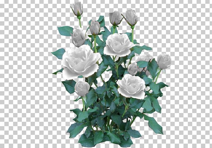 Black Rose Shrub Plant PNG, Clipart, Artificial Flower, Black Rose, Color, Cut Flowers, Floral Design Free PNG Download