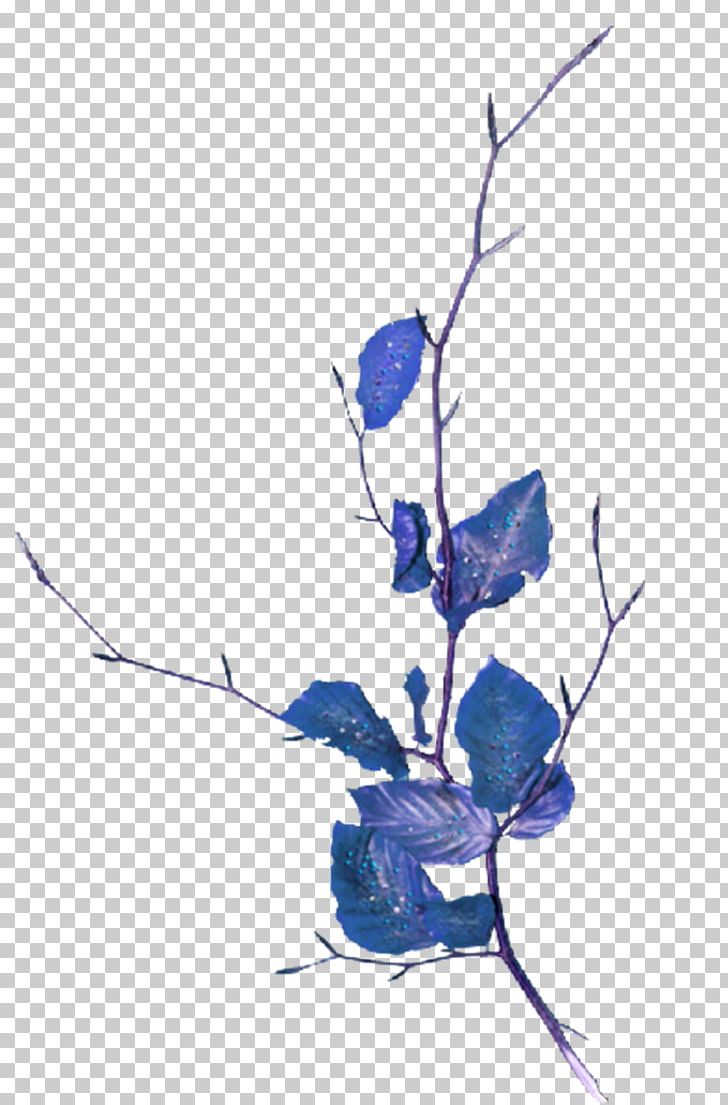 Branch Follaje Tree PNG, Clipart, Background, Background Decoration, Blue, Decoration, Encapsulated Postscript Free PNG Download