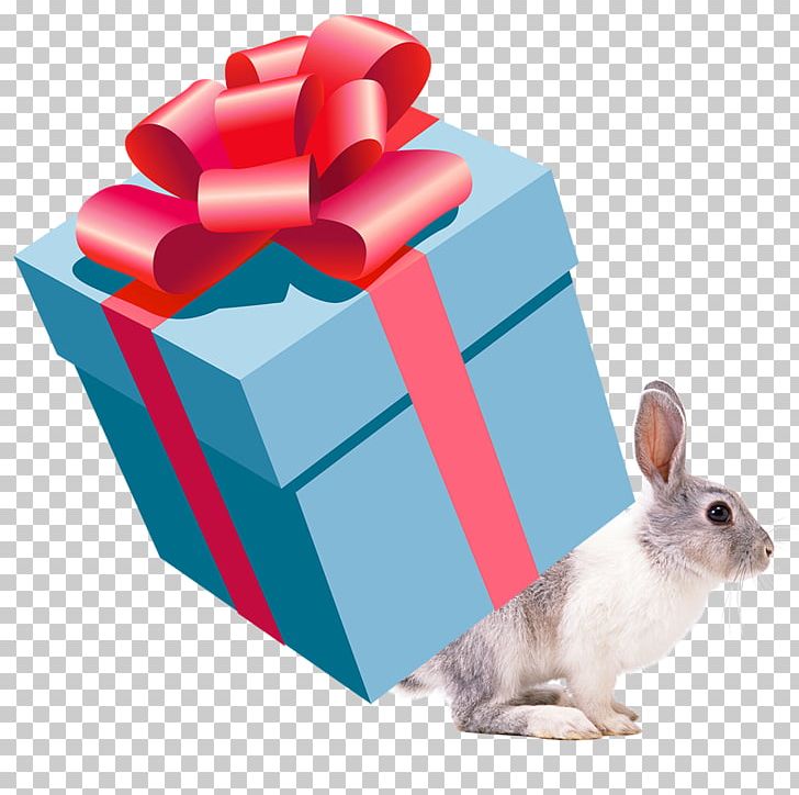 Gift Box PNG, Clipart, Blue, Box, Box Vector, Bunnies, Chinese Free PNG Download