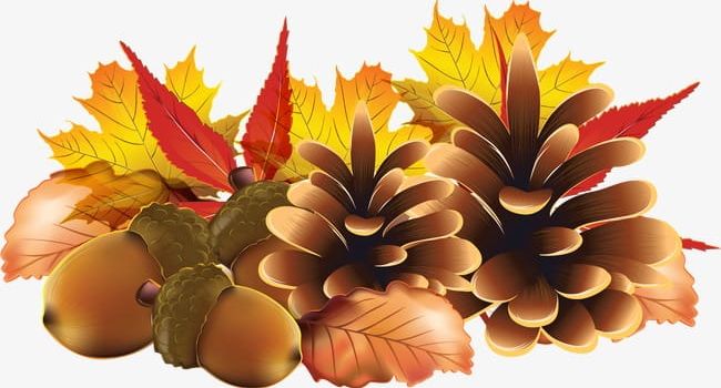 Harvest Pinecone PNG, Clipart, Autumn, Autumn Harvest, Bumper, Country, Country Style Free PNG Download