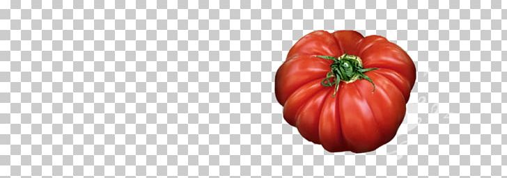 Tomato Bell Pepper Paprika Winter Squash Chili Pepper PNG, Clipart, Bell Pepper, Bell Peppers And Chili Peppers, Capsicum Annuum, Chili Pepper, Cucurbita Free PNG Download