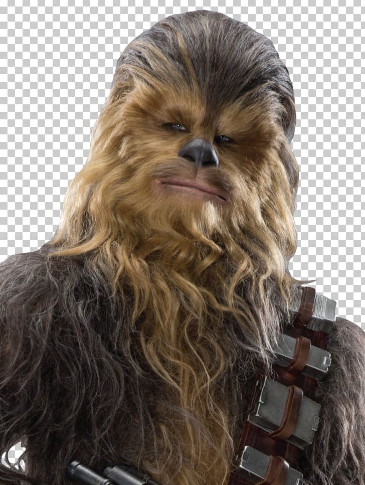 Chewbacca Han Solo Star Wars Sequel Trilogy Wookiee PNG, Clipart, Chewbacca, Fantasy, Film, George Lucas, Hair Free PNG Download
